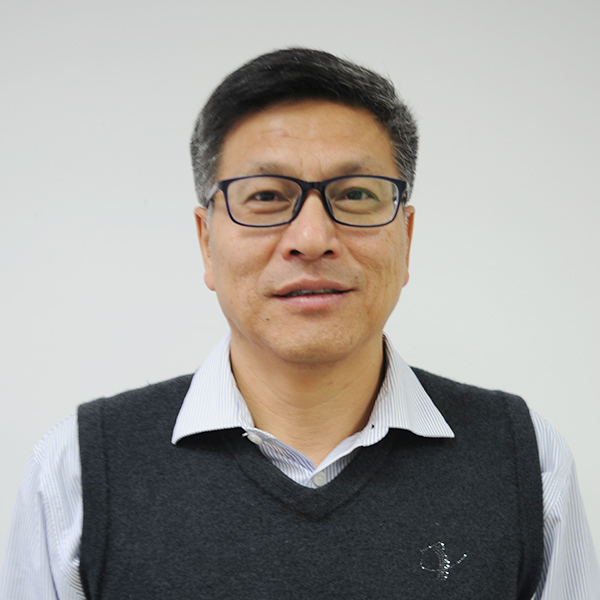 黄金田